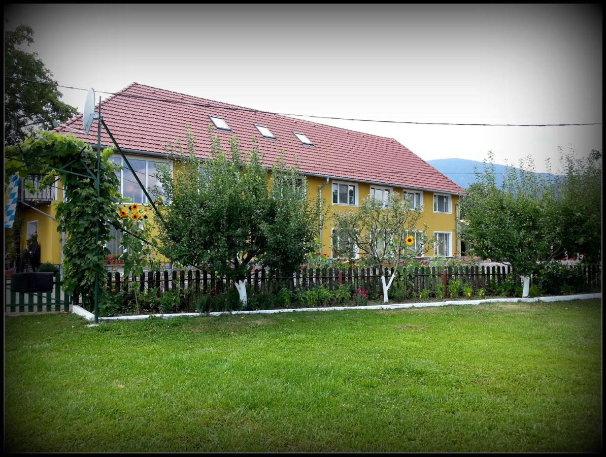 Cazare La Troita Otel Codlea Dış mekan fotoğraf