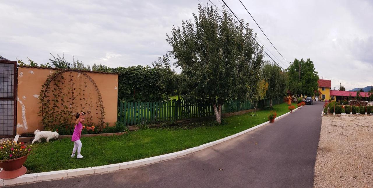 Cazare La Troita Otel Codlea Dış mekan fotoğraf