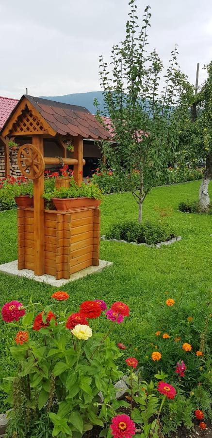 Cazare La Troita Otel Codlea Dış mekan fotoğraf